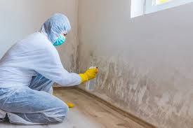 Best Asbestos and Lead Testing During Mold Inspection in USA